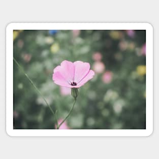 Wildflower Sticker